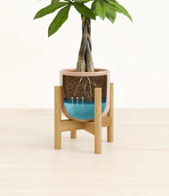 Load image into Gallery viewer, Glossy Pink stand:bamboo