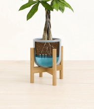 Load image into Gallery viewer, Misty Blue stand:bamboo