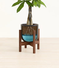 Load image into Gallery viewer, Stone Black stand:walnut