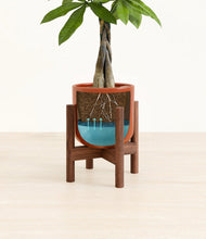 Load image into Gallery viewer, Glossy Red stand:walnut