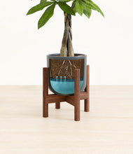 Load image into Gallery viewer, Iron Gray stand:walnut