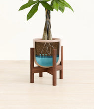 Load image into Gallery viewer, Sandy Pink stand:walnut