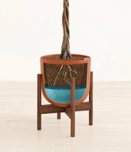 Load image into Gallery viewer, Earth Red stand:walnut