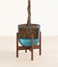 Load image into Gallery viewer, Iron Gray stand:walnut