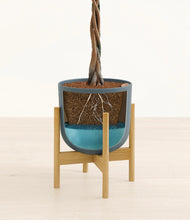 Load image into Gallery viewer, Iron Gray stand:bamboo