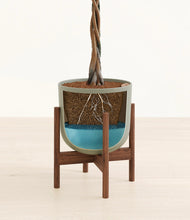 Load image into Gallery viewer, Sage Green stand:walnut