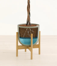 Load image into Gallery viewer, Sage Green stand:bamboo