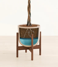 Load image into Gallery viewer, Sandy Pink stand:walnut