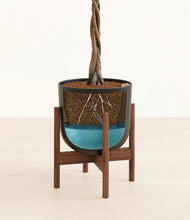 Load image into Gallery viewer, Stone Black stand:walnut