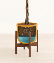 Load image into Gallery viewer, Sunset Orange stand:walnut