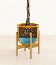 Load image into Gallery viewer, Sunset Orange stand:bamboo