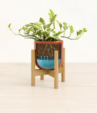 Load image into Gallery viewer, Glossy Red stand:bamboo