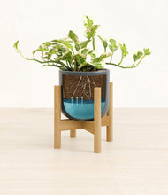 Load image into Gallery viewer, Iron Gray stand:bamboo