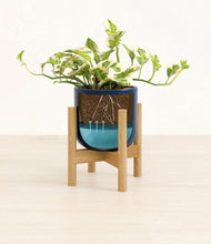 Load image into Gallery viewer, Twilight Blue stand:bamboo