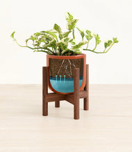 Load image into Gallery viewer, Glossy Red stand:walnut
