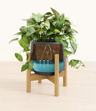 Load image into Gallery viewer, Deep Navy stand:bamboo