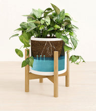 Load image into Gallery viewer, White stand:bamboo