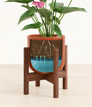 Lade das Bild in den Galerie-Viewer, Glossy Red stand:walnut
