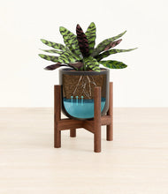 Load image into Gallery viewer, -