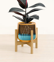 Load image into Gallery viewer, Mustard stand:bamboo