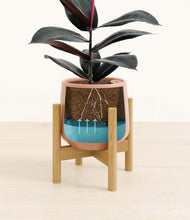 Load image into Gallery viewer, Calm Rose stand:bamboo