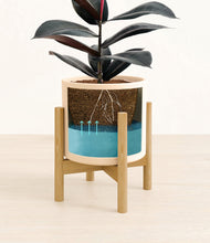 Load image into Gallery viewer, Cream stand:bamboo