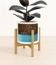 Load image into Gallery viewer, White stand:bamboo