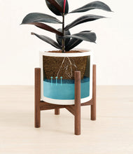 Load image into Gallery viewer, White stand:walnut