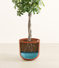 Load image into Gallery viewer, Earth Red stand:all