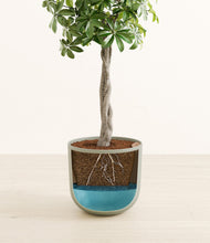 Load image into Gallery viewer, Sage Green stand:all