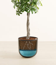 Load image into Gallery viewer, Stone Black stand:all