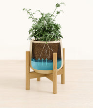 Load image into Gallery viewer, Almond Green stand:bamboo