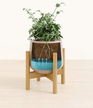 Load image into Gallery viewer, Eternal Gray stand:bamboo