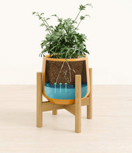 Load image into Gallery viewer, Mustard stand:bamboo