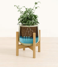 Load image into Gallery viewer, Turquoise stand:bamboo