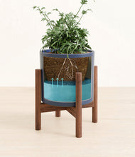 Load image into Gallery viewer, Deep Navy stand:walnut