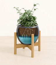 Load image into Gallery viewer, Deep Navy stand:bamboo