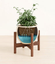 Load image into Gallery viewer, Shiny EggWhite stand:walnut