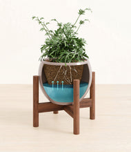 Load image into Gallery viewer, Winter Clouds stand:walnut