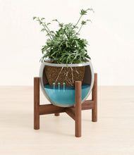 Load image into Gallery viewer, Deep Ocean stand:walnut