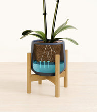 Load image into Gallery viewer, Deep Navy stand:bamboo