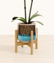 Load image into Gallery viewer, Eternal Gray stand:bamboo