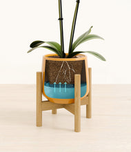 Load image into Gallery viewer, Mustard stand:bamboo