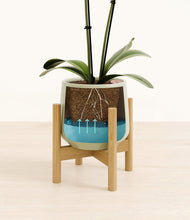 Load image into Gallery viewer, Turquoise stand:bamboo