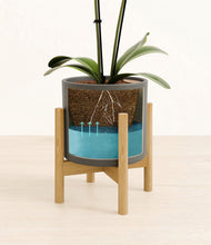 Load image into Gallery viewer, Dark Olive stand:bamboo