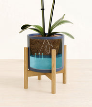 Load image into Gallery viewer, Deep Navy stand:bamboo