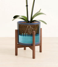 Load image into Gallery viewer, Deep Navy stand:walnut