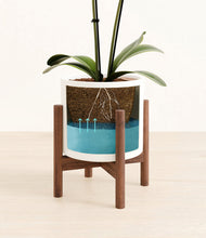 Load image into Gallery viewer, White stand:walnut