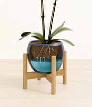 Load image into Gallery viewer, Deep Navy stand:bamboo