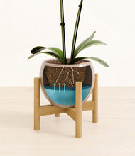 Load image into Gallery viewer, Desert Brown stand:bamboo